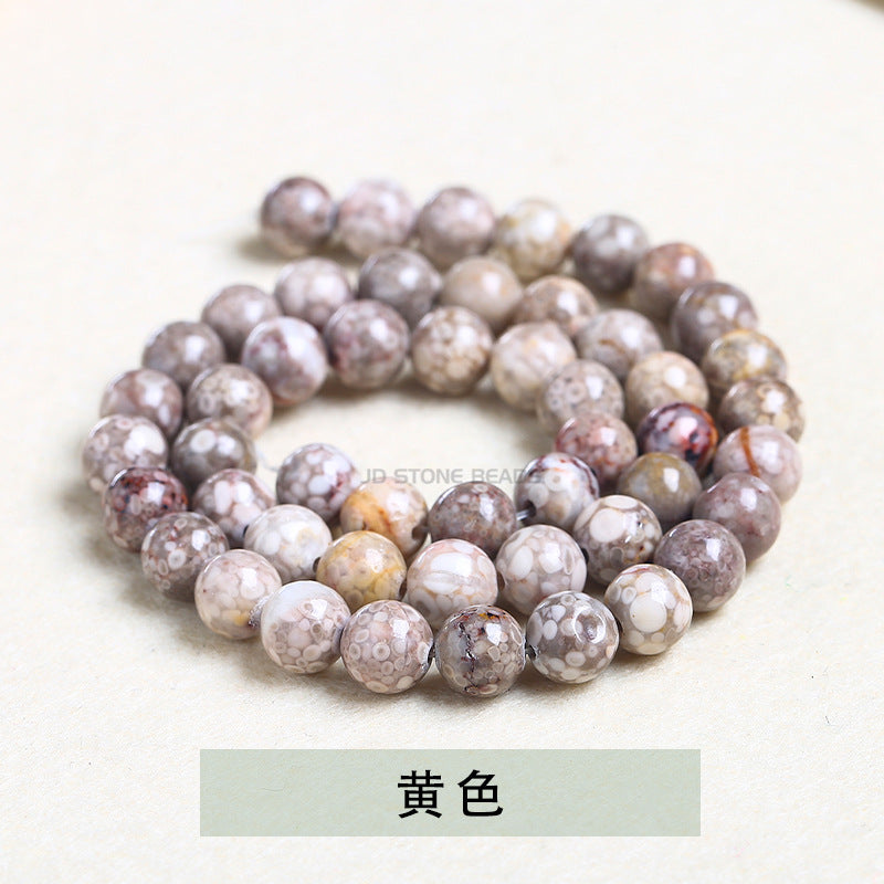 メディカルストーン 連材 6/8/10/12mm